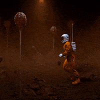 GiddyJovialAvocet-max-1mb.gif