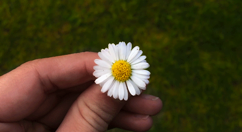 3333.gif