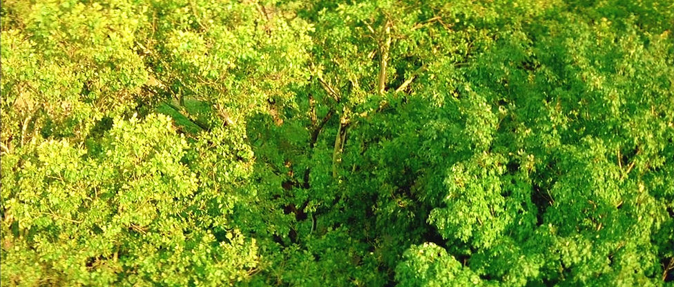 E123.jpg