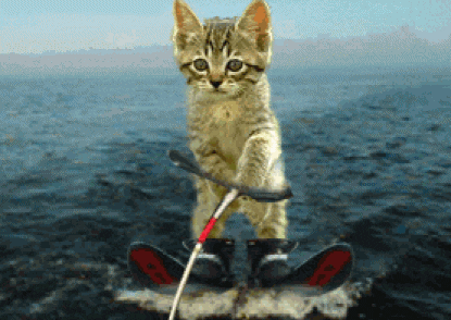 giphy (2).gif