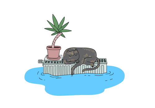 3e5a1067fab14f0837ed59a66f5adfeb.gif