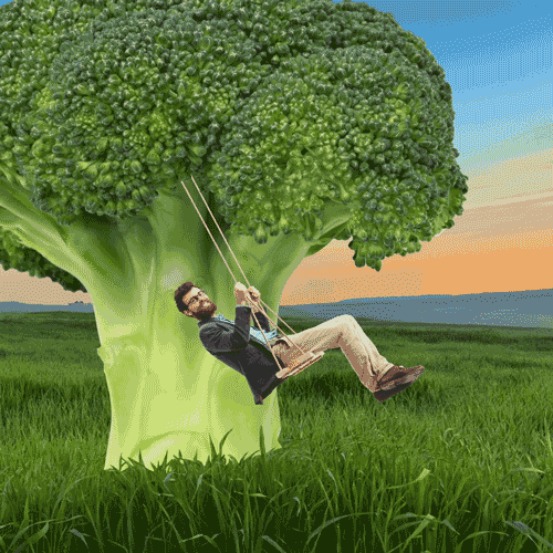 giphy.gif