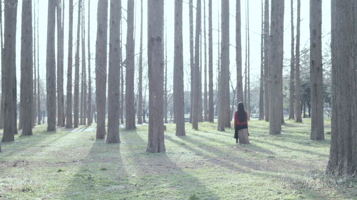 rrrrroll05 (1).gif