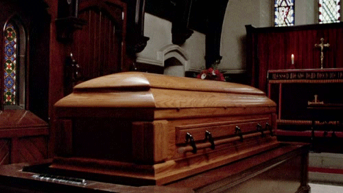tumblr_nnn7e9fHVO1qedb29o1_500.gif