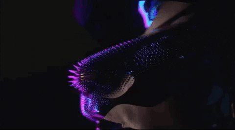 giphy (1).gif