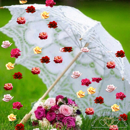 c44d2f6ec17fba6915ae965aae9a0c40.gif