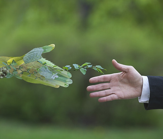 Business Green.jpeg