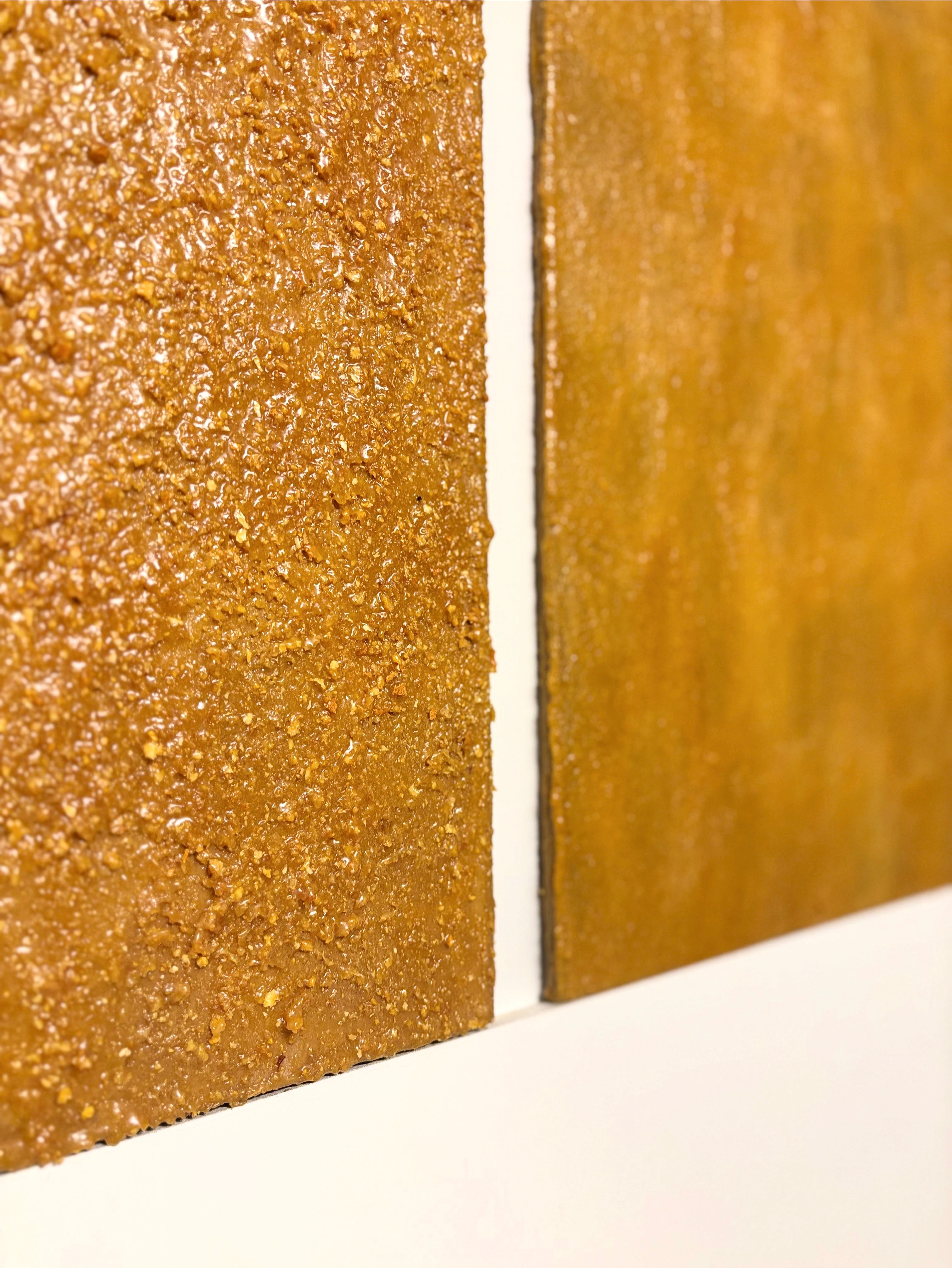 Orange Peel Waste Wall Art