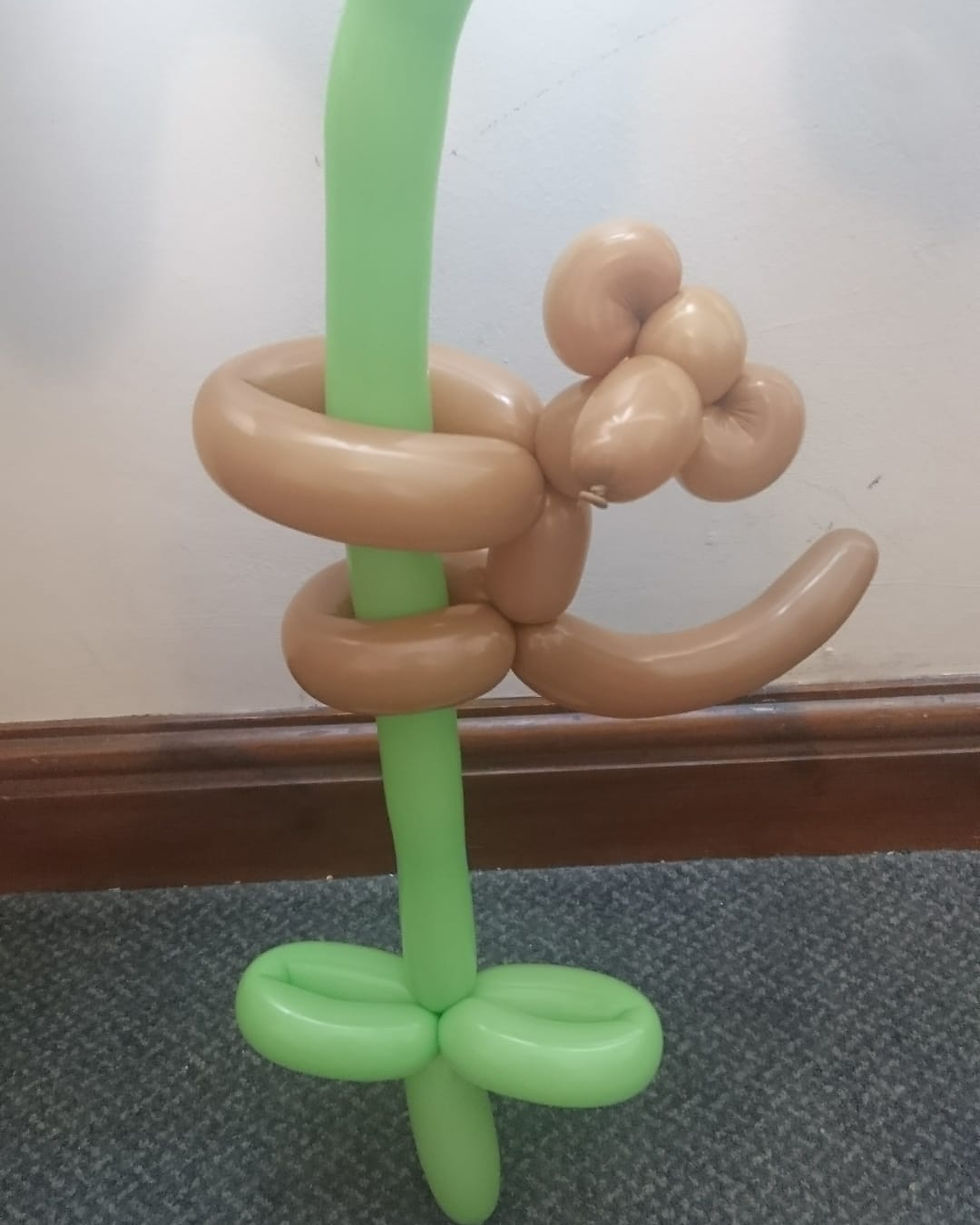 Monkey Balloon Modelling