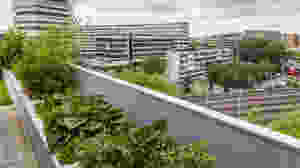 A variety of green plants in planters on a rooftop looking over an urban landscape.