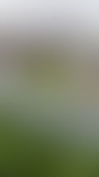 Sustainable Solutions for Regenerative Agriculture: Back to Earth Works' Unique Approach