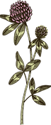 Asset 8.png