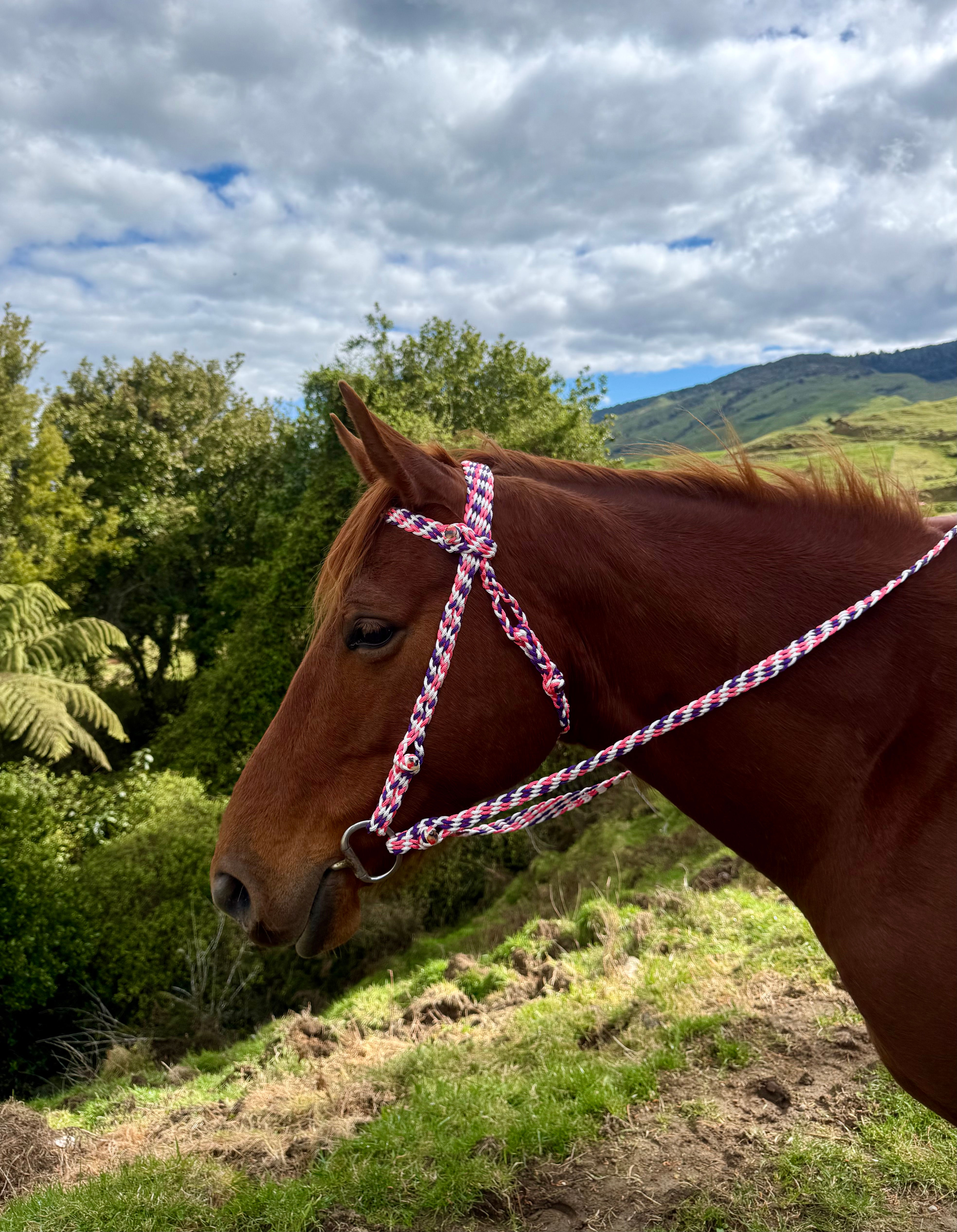 Bridle & Reins- Pink/Purple/White