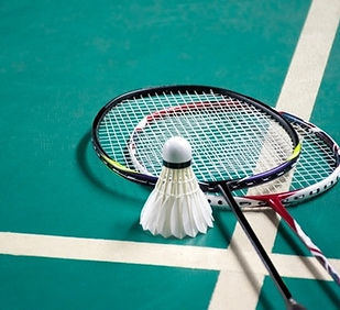 Source: photo courtesy of PPA Tour https://ppatour.com/ppa-blog/pickleball-vs-badminton/