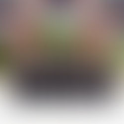 Announcing BASS Queens