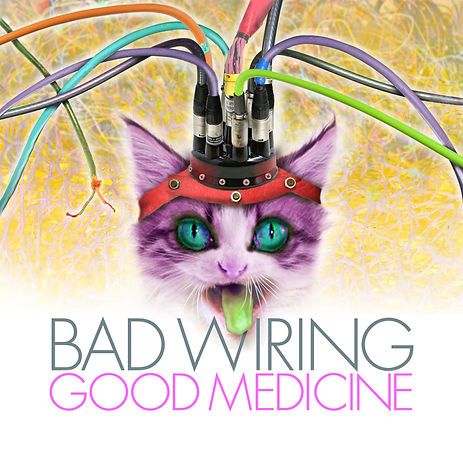 bad wiring cover.jpg
