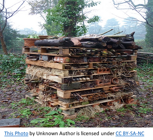 Bug Hotel.png