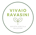 LOGO RAVASINI.png