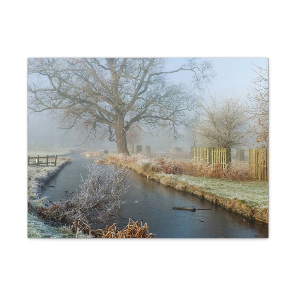 Thumbnail: Matte Canvas, Stretched, 1.25"