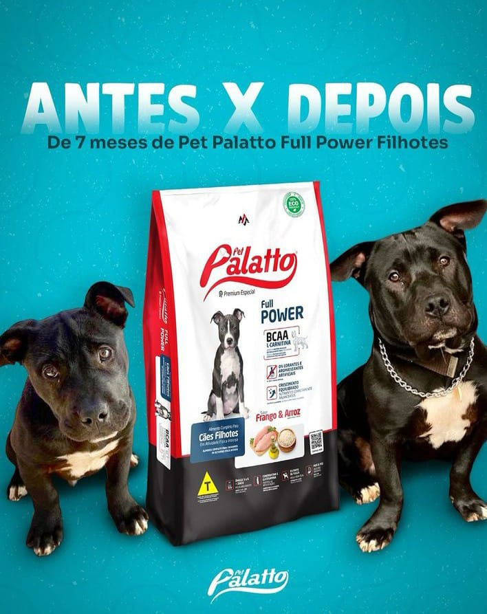 O MELHOR ALIMENTO PARA O SEU FILHOTE PIT BULL