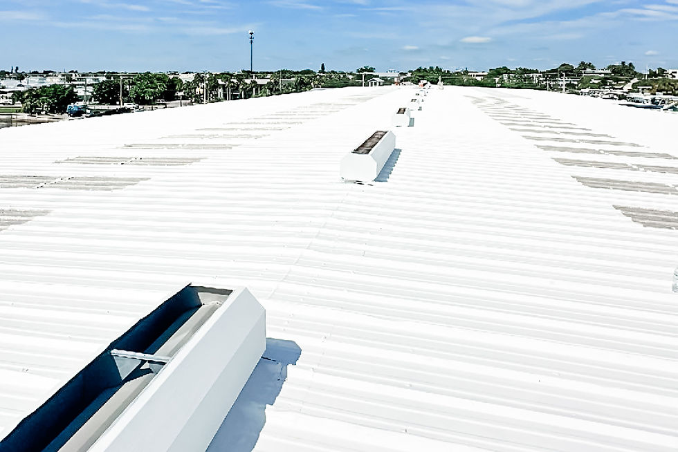 all-american-roofing-coating-09.JPG