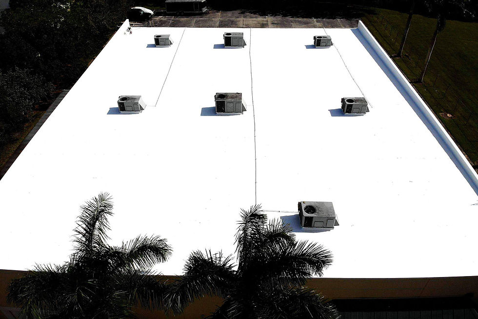 all-american-roofing-coating-04.jpg