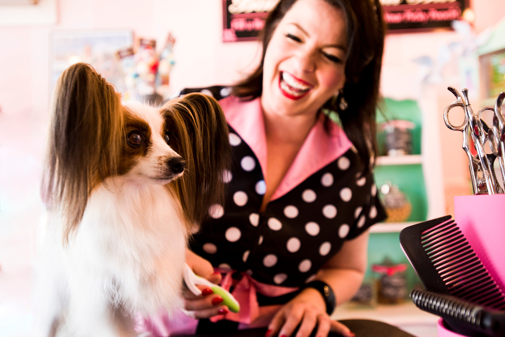 Wholesale Dog Bakery WholesaleDogBakery Escondido