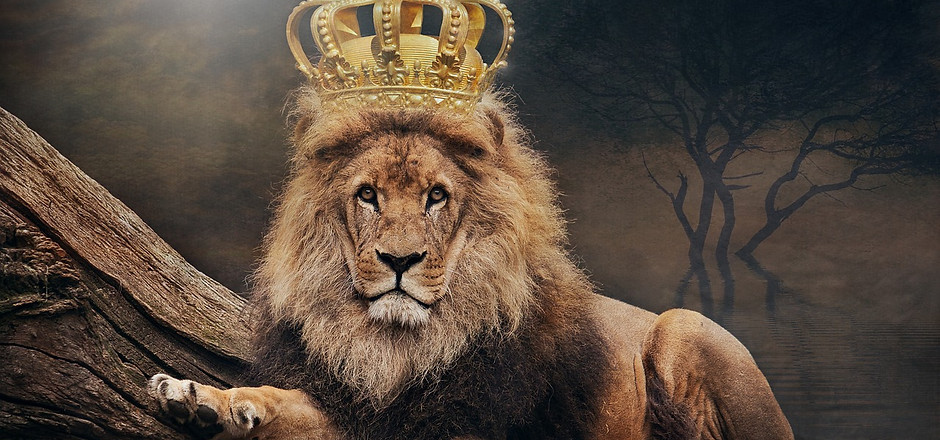 king-3832148_1280.jpg