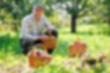 Apple Picking