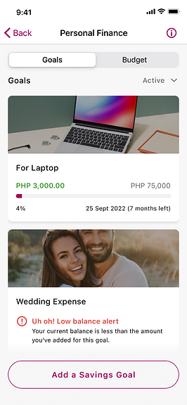 Goals Dashboard - 1 Low Balance Alert.png