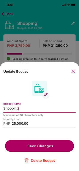 Budget Details - Edit Details.png