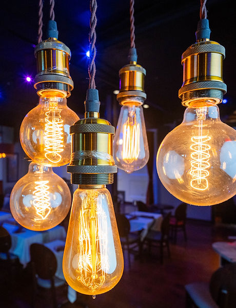 Bulbs Small 2026.jpg