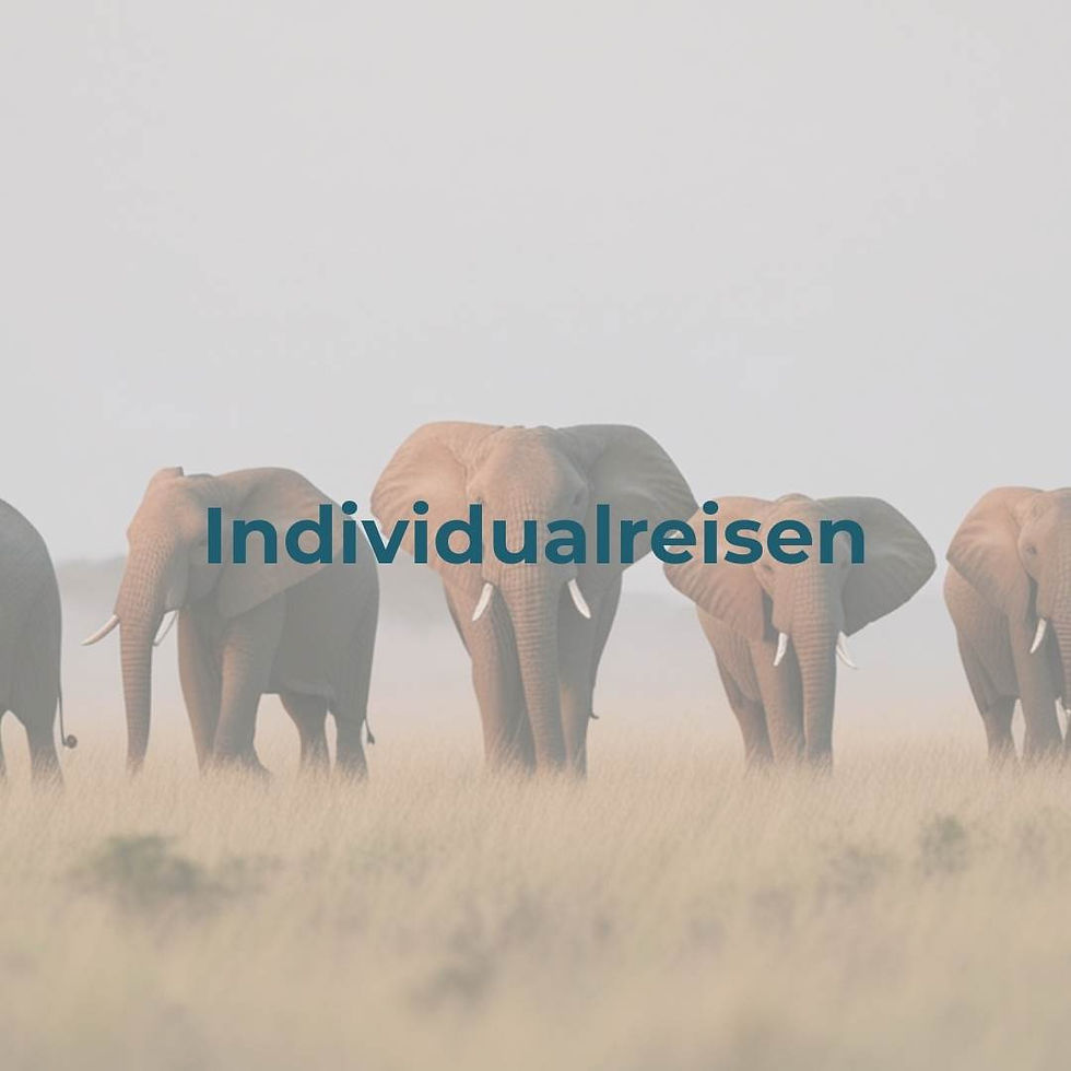 Individual