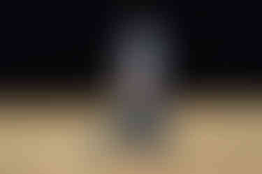 Stupid Little Mouse, Photography by Mike Heath