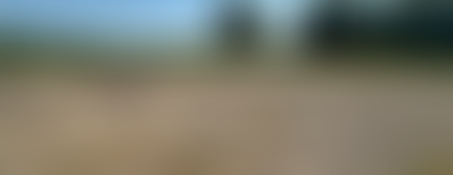 Building Construction site prep in Terre Haute, Indiana