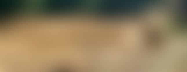 Pool Excavation in Columbus, Indiana