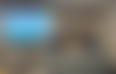 GENS members participate in the 2024 ASEEEES Annual Convention