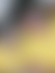 Taking Up the Mantle