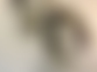 A Slowly Sinking Ship