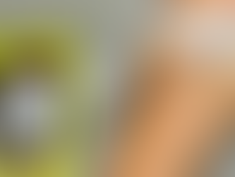 O direito de recusar transfusões de sangue: análise da decisão do STF e seus impactos jurídicos, médicos e sociais