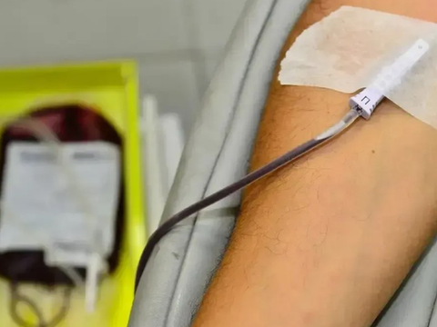 O direito de recusar transfusões de sangue: análise da decisão do STF e seus impactos jurídicos, médicos e sociais
