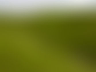 The Heartbreak Hill, Lessons of a False Summit