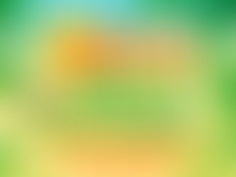 Zoey’s Top 5 Dog-Friendly Filming Locations in Florida