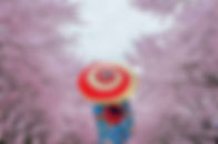 Inspiring-Asia-Travel-Kimono-Cherry-Blossom-Japan.jpg