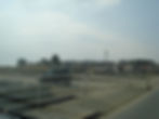 DSC05753.JPG