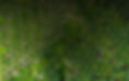 Home Banner.jpeg