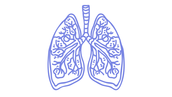 NanoInhale Presentation (7).png
