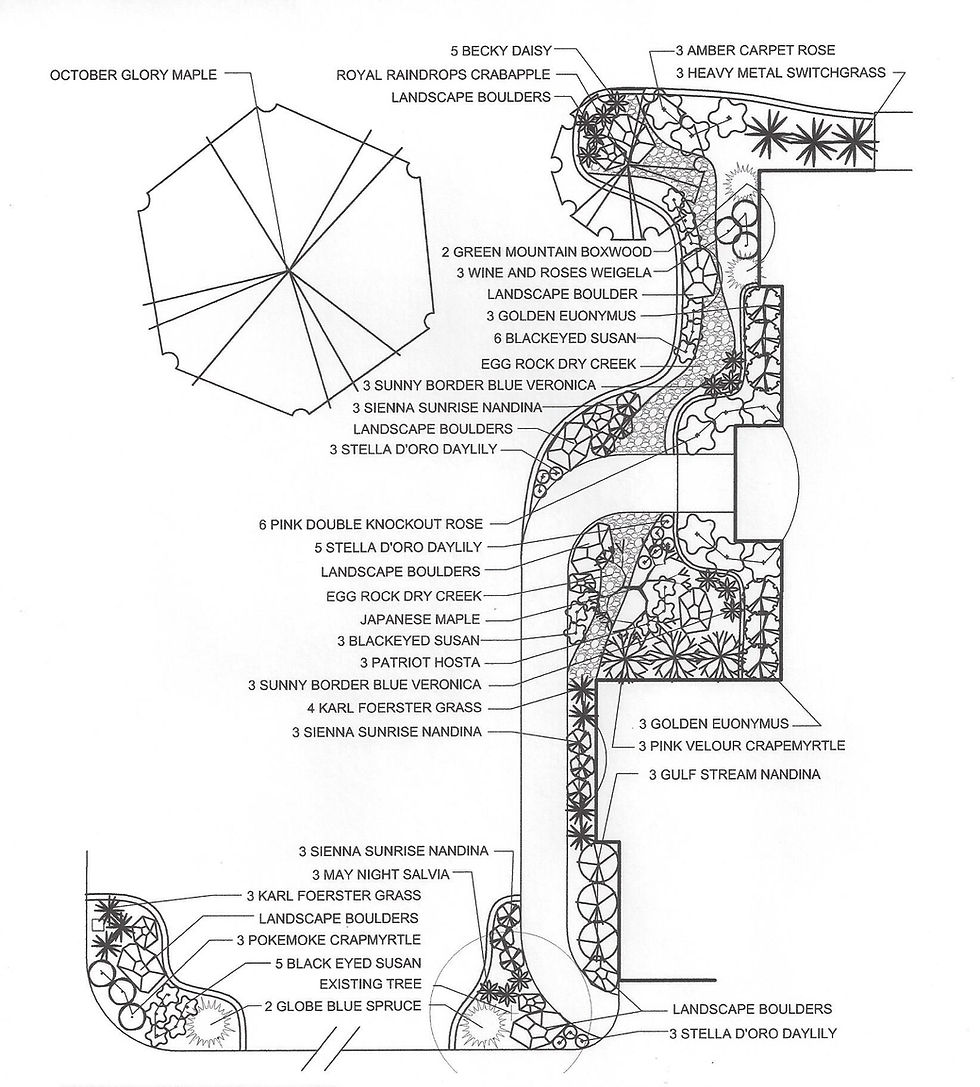 Front Yard Renovation