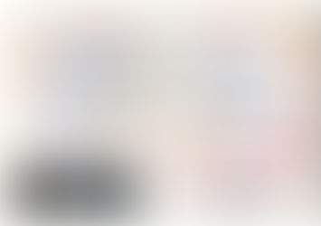 113年度年度報告