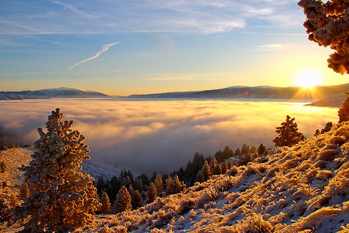 Landscape 2 Seth McFarland.jpeg